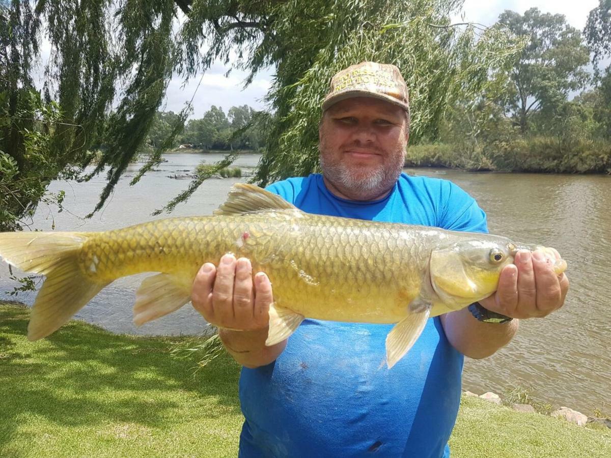 Vale2Vaal Villa Parys Bagian luar foto