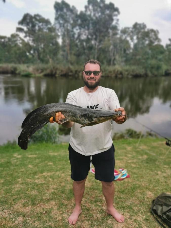 Vale2Vaal Villa Parys Bagian luar foto
